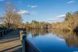 559 Courtridge Loop, Conway, SC 29526 - Photo 33