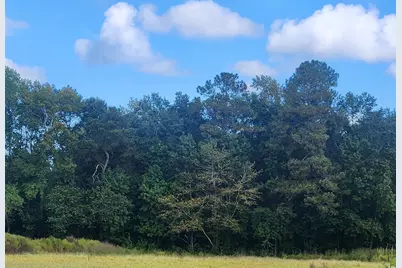 Tbd Goff Rd., Aynor, SC 29511 - Photo 5