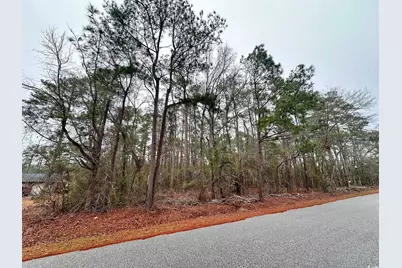 5370 Crutchlow Ct., Nichols, SC 29581 - Photo 1