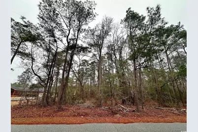 5370 Crutchlow Ct., Nichols, SC 29581 - Photo 3