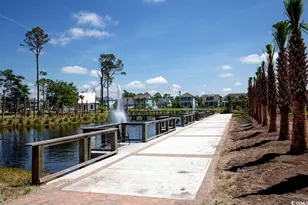 8156 Living Tide Dr, Myrtle Beach, SC 29572 - Photo 45