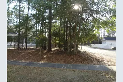 40 Pineberry Dr., Georgetown, SC 29440 - Photo 5