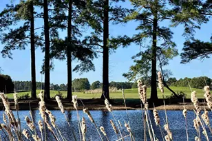 5000 Windsor Green Way, Myrtle Beach, SC 29579 - Photo 21