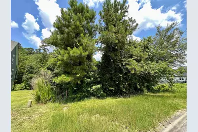 286 Rivers Edge Dr., Conway, SC 29526 - Photo 1