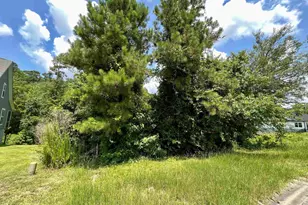 286 Rivers Edge Dr, Conway, SC 29526 - Photo 1