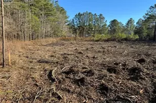 Tbd Redmond Ct, Conway, SC 29526 - Photo 1