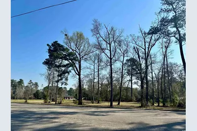 Tbd N Main St., Nichols, SC 29581 - Photo 5