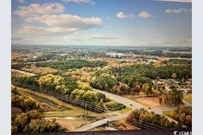 Tbd Mill Pond Rd., Conway, SC 29526 - Photo 1