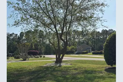 911 Shaftesbury Ln., Conway, SC 29526 - Photo 3