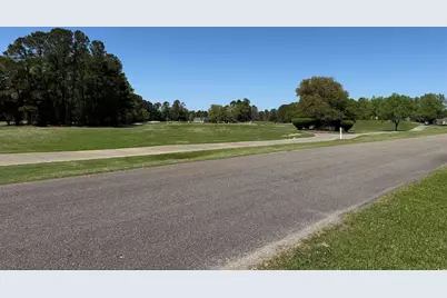 911 Shaftesbury Ln., Conway, SC 29526 - Photo 11