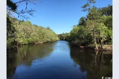 911 Shaftesbury Ln., Conway, SC 29526 - Photo 7