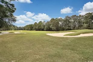 985 Cherrystone Loop, Conway, SC 29526 - Photo 27