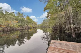 993 Cherrystone Loop, Conway, SC 29526 - Photo 33