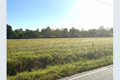 Tract 3 Borkowitz Rd., Scranton, SC 29591 - Photo 3