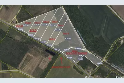 Tract 3 Borkowitz Rd., Scranton, SC 29591 - Photo 1