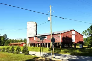 Tbd Red Barn Tr Borkowitz Rd, Scranton, SC 29591 - Photo 1