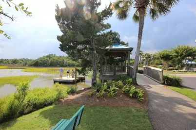 356 Chapman Loop, Pawleys Island, SC 29585 - Photo 37