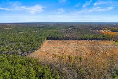 5.73 Acs Kates Bay Hwy., Conway, SC 29527 - Photo 15