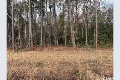 5.73 Acs Kates Bay Hwy., Conway, SC 29527 - Photo 5