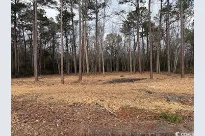 5.73 Acs Kates Bay Hwy., Conway, SC 29527 - Photo 3