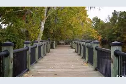 981 Cherrystone Loop, Conway, SC 29526 - Photo 37