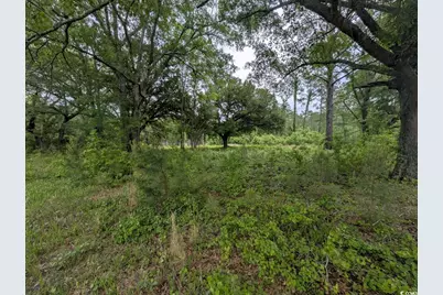 450 Hayfield Rd., Georgetown, SC 29440 - Photo 5