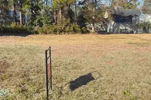 Lot 404 Two Rivers Rd, Georgetown, SC 29440 - Photo 1