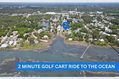 399 Elizabeth Dr., Murrells Inlet, SC 29576 - Photo 1