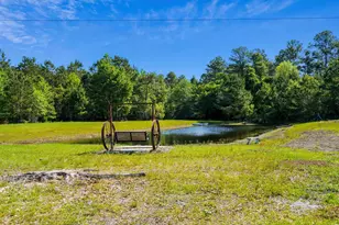 1099 Bonnie Bay Rd, Loris, SC 29569 - Photo 25