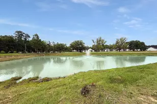 40 Little Peru Ct, Georgetown, SC 29440 - Photo 9