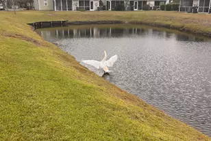 238 Seabert Rd, Myrtle Beach, SC 29579 - Photo 5