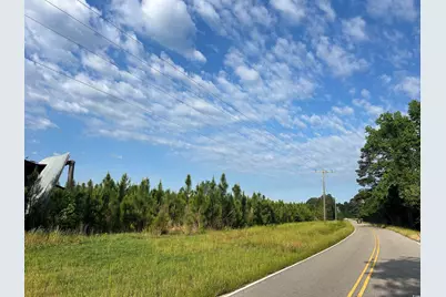 Tbd Highway 430, Nichols, SC 29581 - Photo 9