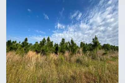 Tbd Highway 430, Nichols, SC 29581 - Photo 15