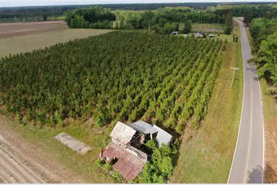 Tbd Highway 430, Nichols, SC 29581 - Photo 5