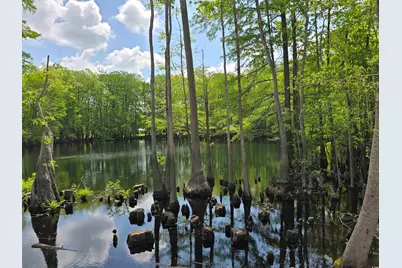 Lot 18 Cypress Knee Ct., Conway, SC 29526 - Photo 11