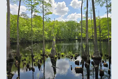 Lot 17 Rowe Pond Rd., Conway, SC 29526 - Photo 15