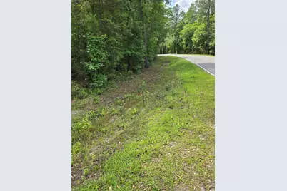 Lot 17 Rowe Pond Rd., Conway, SC 29526 - Photo 5