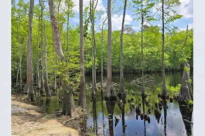 Lot 17 Rowe Pond Rd., Conway, SC 29526 - Photo 17