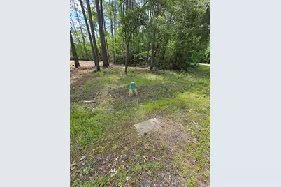 Lot 17 Rowe Pond Rd., Conway, SC 29526 - Photo 3