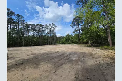 Lot 17 Rowe Pond Rd., Conway, SC 29526 - Photo 1