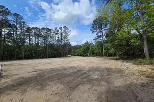 Lot 17 Rowe Pond Rd, Conway, SC 29526 - Photo 1