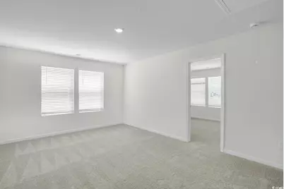 1113 Hainer Place Dr, Conway, SC 29526 - Photo 17