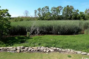 329 Kaufman St, Georgetown, SC 29440 - Photo 33