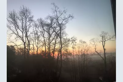 Tbd Kaufman St., Georgetown, SC 29440 - Photo 5