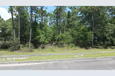 Tbd Bridge View Rd., Georgetown, SC 29440 - Photo 9