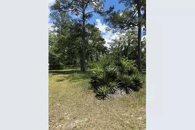 Tbd Hampton Rd., Conway, SC 29527 - Photo 7