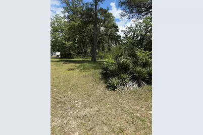 Tbd Hampton Rd., Conway, SC 29527 - Photo 5