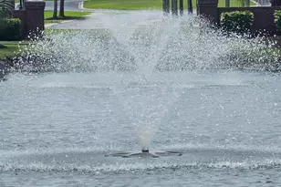 451 W Palm Dr, Myrtle Beach, SC 29579 - Photo 35