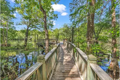 4131 Gunter Lake Rd., Galivants Ferry, SC 29544 - Photo 35