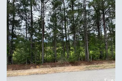 9.76 Acs Rabon Rd., Aynor, SC 29511 - Photo 11